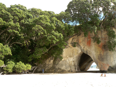 cathedral cove 3